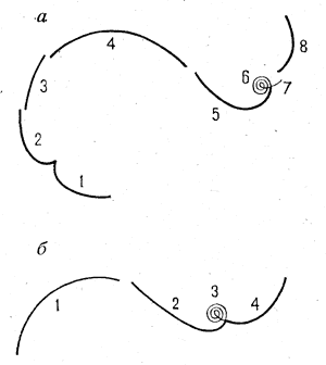 Рис. 51. Схема следов пируэтов вперед (а) и назад (б)