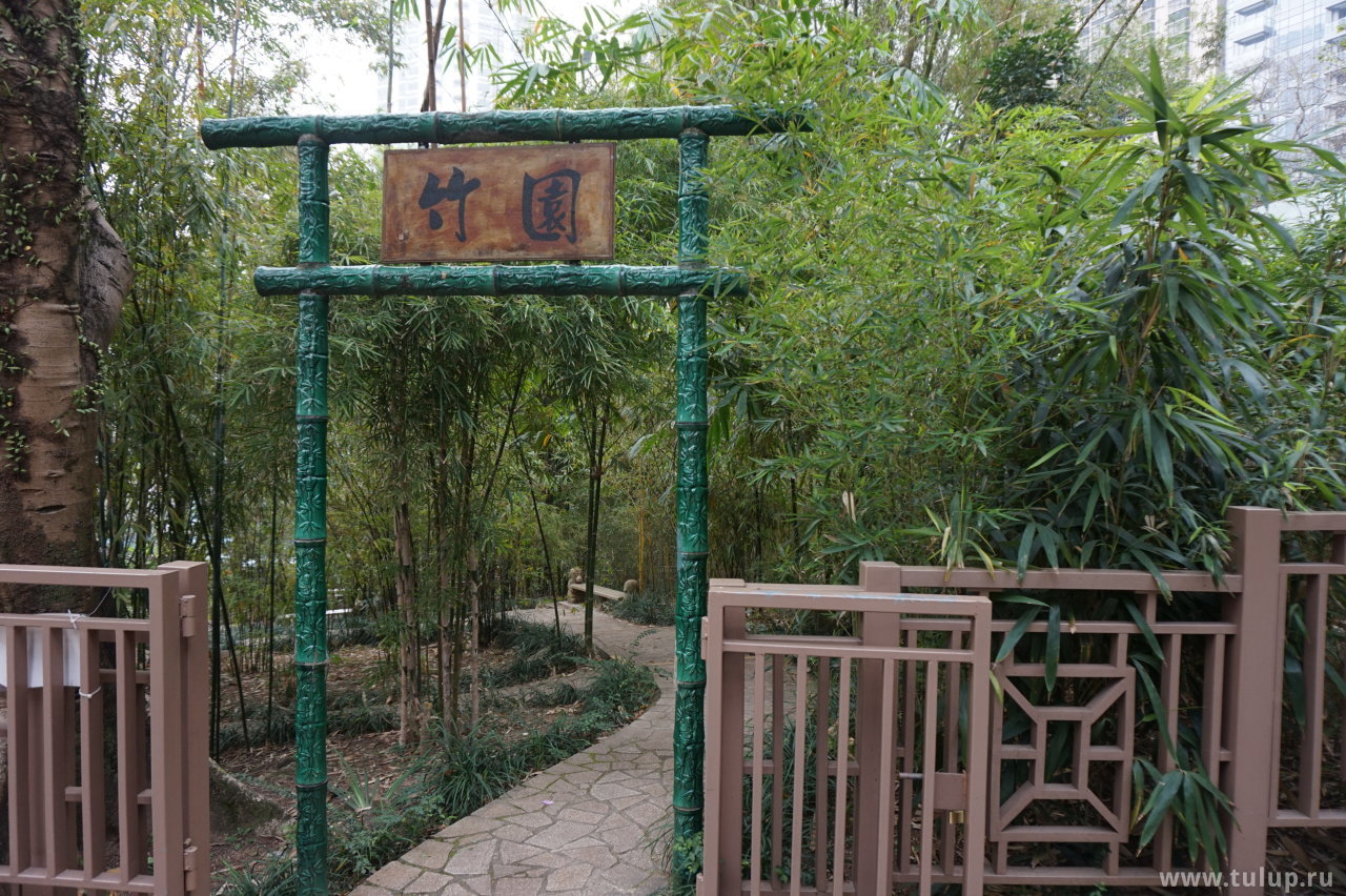Чжуюань — бамбуковый сад