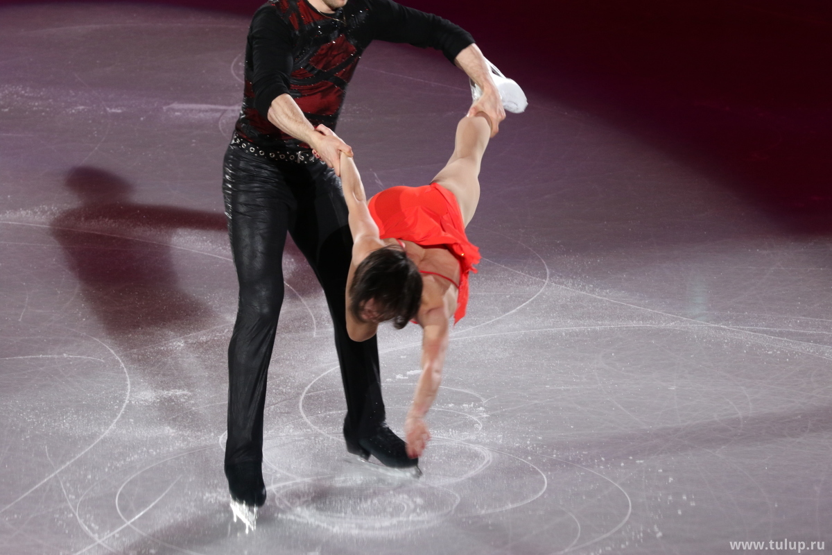 Liubov Ilyushechkina — Dylan Moscovitch