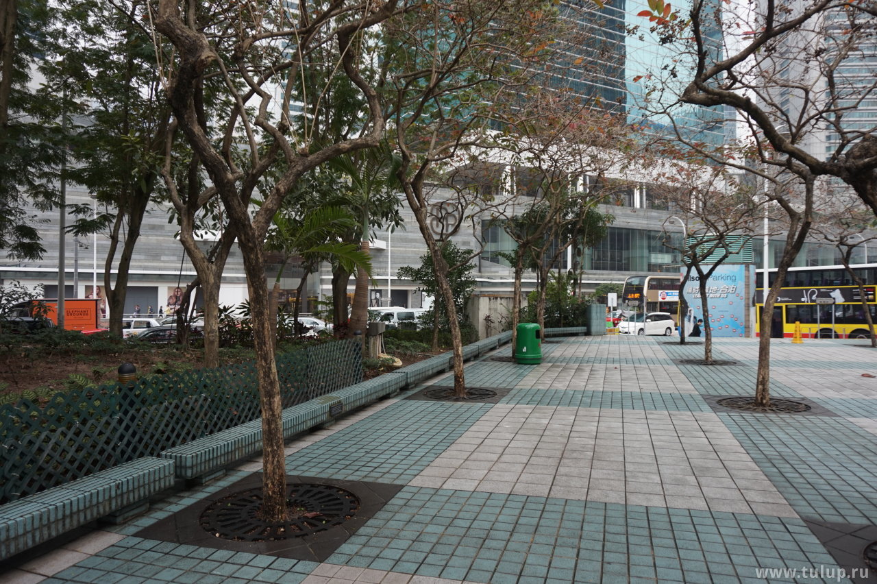 Сквер Wan Chai