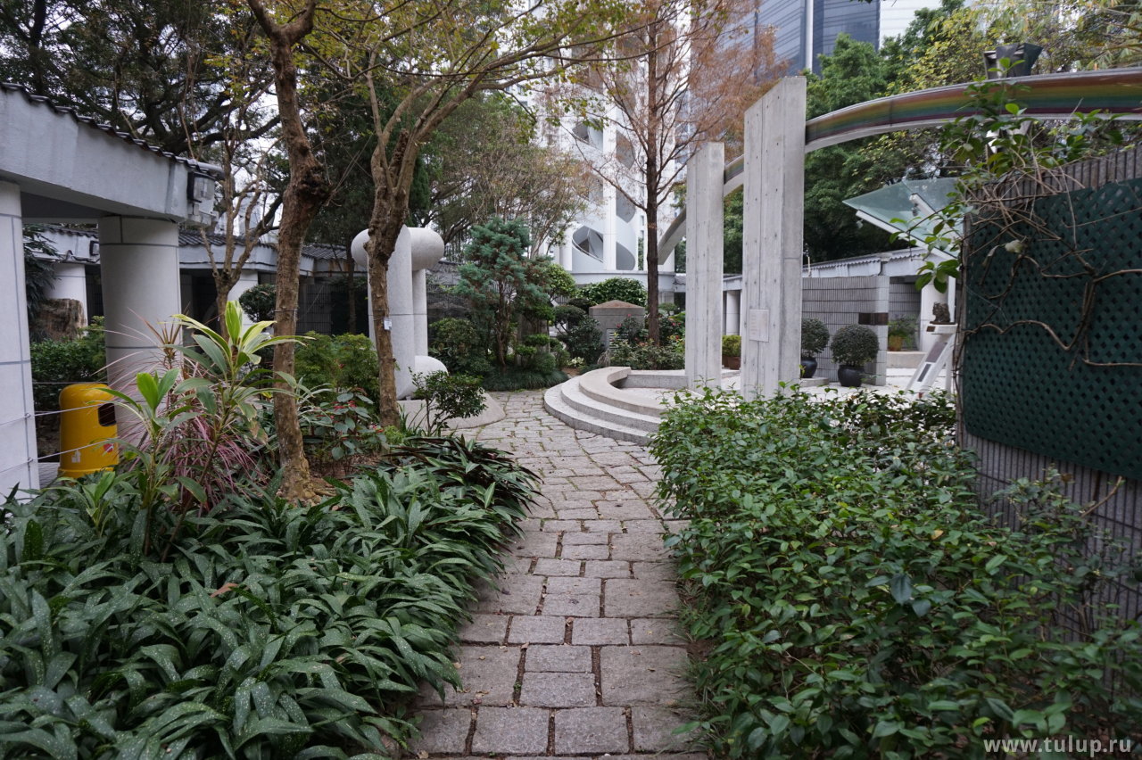 Парк Тайцзи