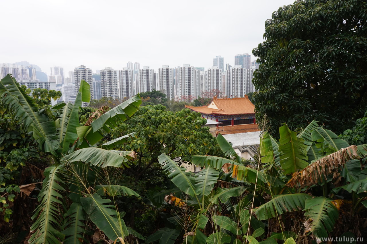 Спальные районы северного Гонконга вдали