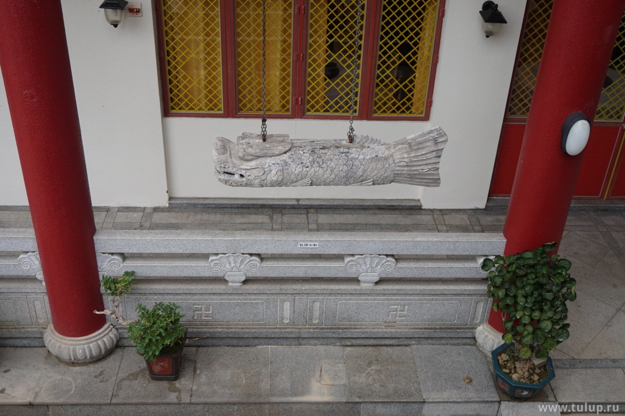 Рыбная торпеда