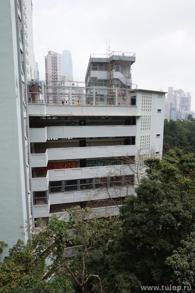 Одна из надписей в колледже: «Час потраченный на чтение — это час украденный из Рая»