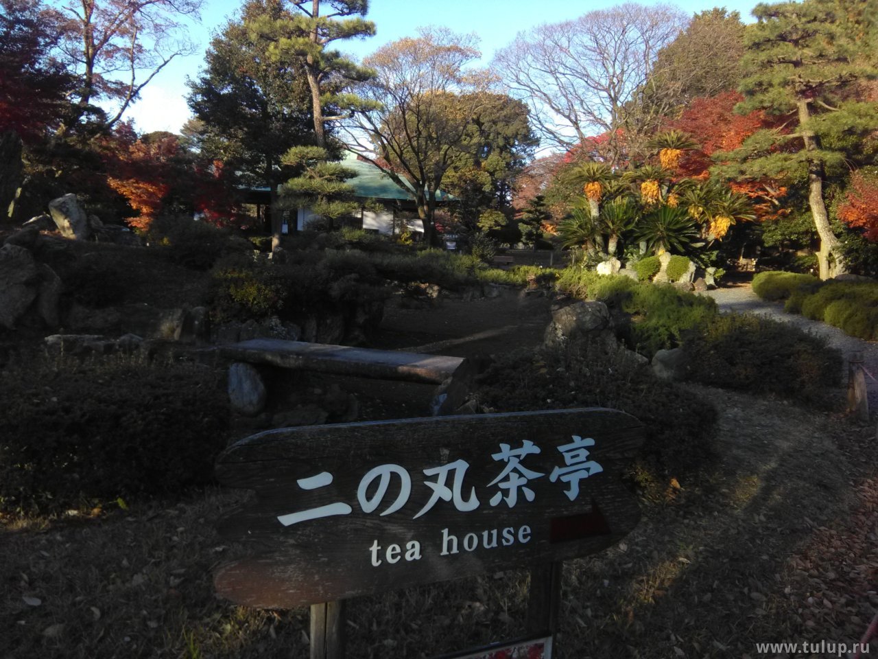 Чайная беседка «Второго пузырька»