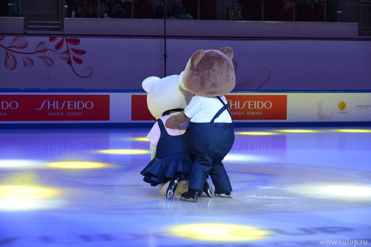 Два мужика в костюмах разнополых медведей развлекают детвору